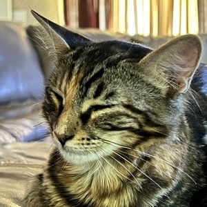 Meet your Posher, Skylar